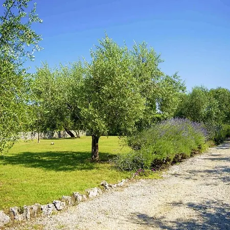 Agricola In Sveti Kirin